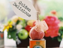 Exploring Themes: Apples, Springtime, Weddings & Events